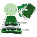 Imagen 4